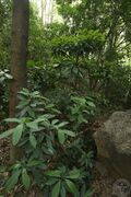山大颜07.jpg