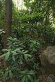 2019年8月2日 (五) 08:47的版本的缩略图