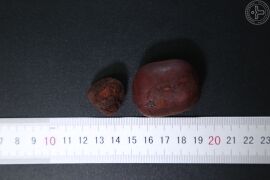YP-牛黄-0.JPG