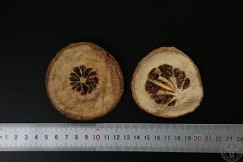 YP-香橼-2.JPG