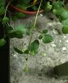2019年8月2日 (五) 08:33的版本的缩略图