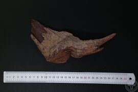 YP-降香-0.JPG