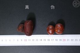 YP-牛黄-1.JPG