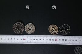 YP-金钱白花蛇-1.JPG