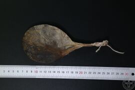 YP-熊胆-0.JPG