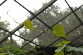 一点血05.jpg
