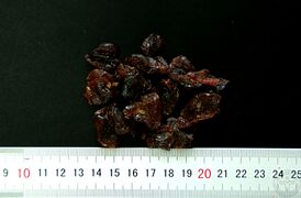 YP-龙眼肉-0.JPG
