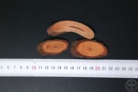 YP-黑老虎根-0.JPG