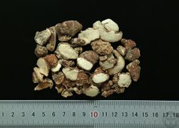 YP-山柰-0.JPG