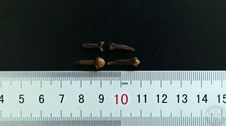 YP-丁香-1.JPG