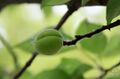 2022年5月20日 (五) 10:39的版本的缩略图