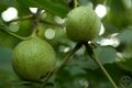 2019年8月9日 (五) 15:28的版本的缩略图