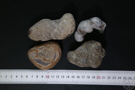 YP-马宝-0.JPG