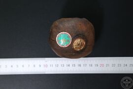 YP-血竭-2.JPG
