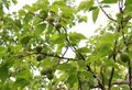 2022年5月20日 (五) 10:39的版本的缩略图