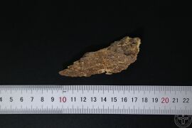 YP-椿皮-0.JPG