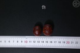 YP-牛黄-2.JPG