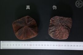 YP-血竭-3.JPG