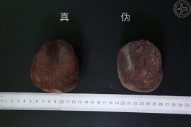 YP-血竭-4.JPG