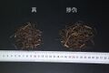 YP-威灵仙-2.JPG