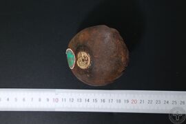 YP-血竭-0.JPG